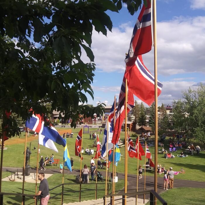 Nordic Flags down the stairs Midsummer looking into park